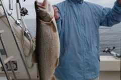 This Trophy Size Lake Trout was caught June 13th 2009 with a limit catch! Wow! what a beautiful fish! Come join us aboard the 40' Viking yachts and get your chance a trophy size Trout or Salmon! Call 262-945-8193 Today!